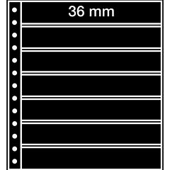 7er 248 x 36 mm