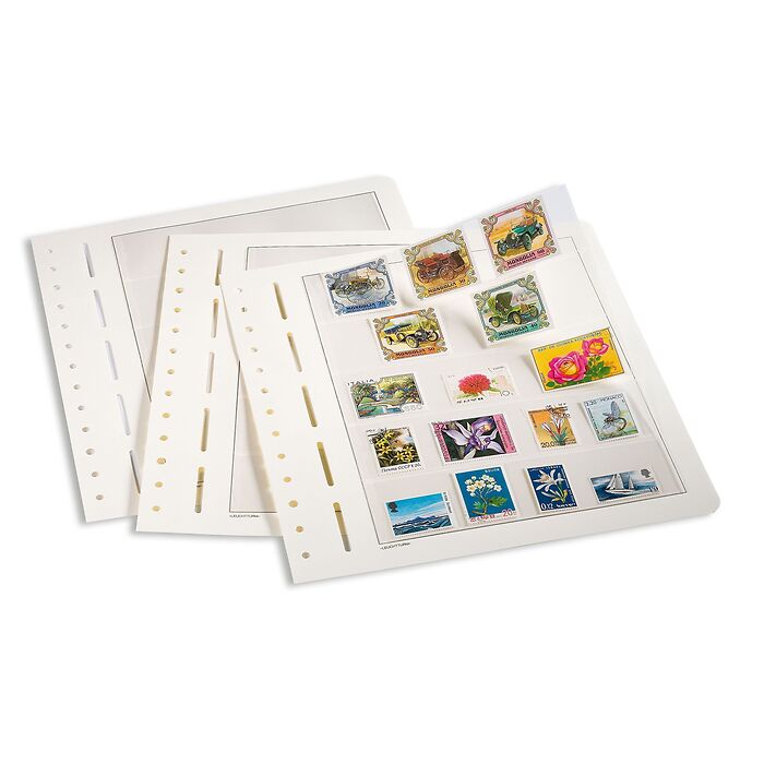 Leuchtturm Blankoblätter, 1er  Einteilung, für ETBs, 10er Pack