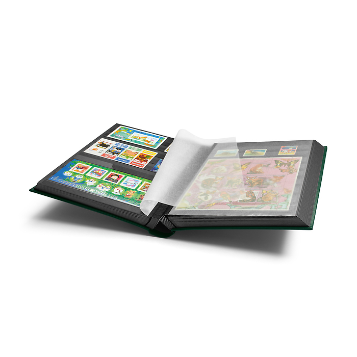 Comfort Einsteckbuch, DIN A4,  64 schwarze Seiten, wattierter Einband, grün