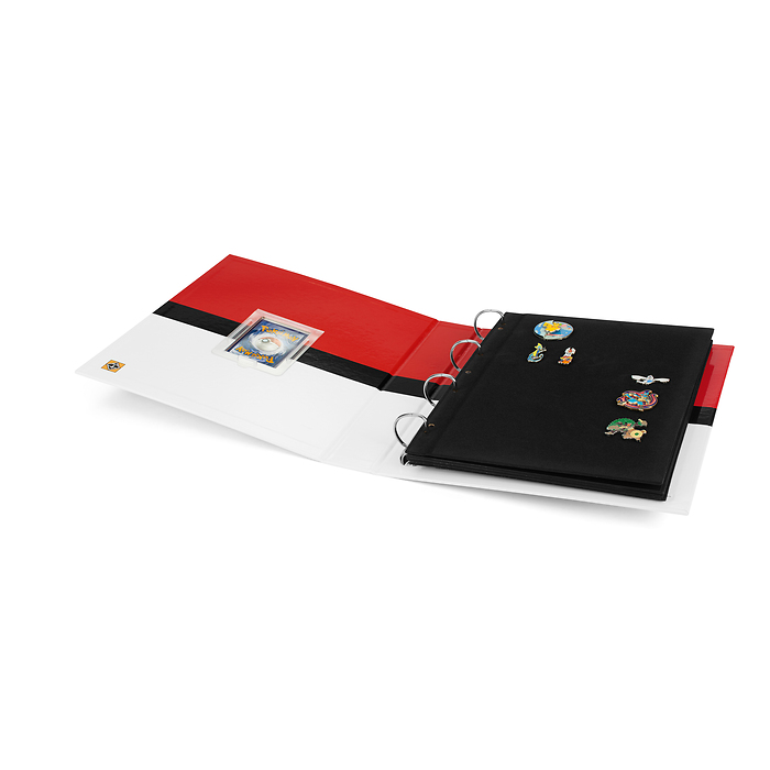 Tafeln für Pin-Album mit schwarzem Samtbezug, 4er-Pack