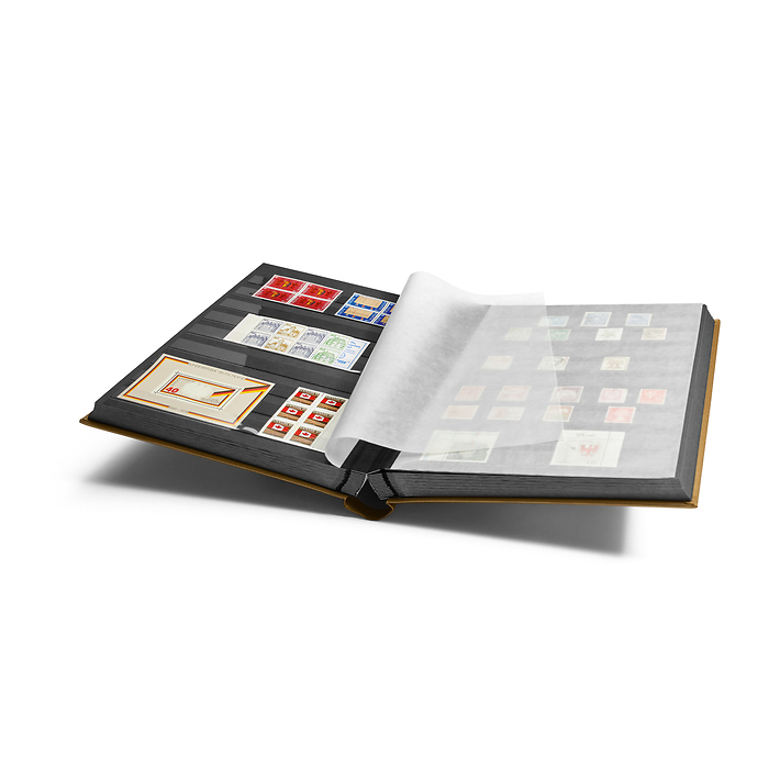 Comfort Einsteckbuch, Din A4,  64 schwarze Seiten, wattierter Einband, gold