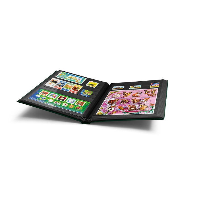 Einsteckbuch PREMIUM, DIN A4,  32 schw. Seiten, wattierter Ledereinb.* inkl. Kassette,grün